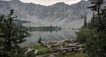Miner Lake Miner Lake