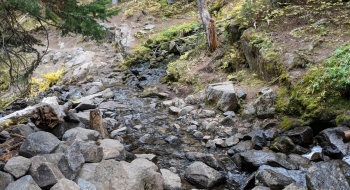 One of the creek crossings.