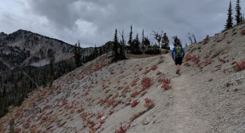 Wilson Pass