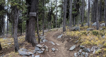Looking back at the intersection with the Bear Creek Trail