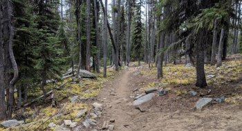 The trail is very good through Wilson Basin. 