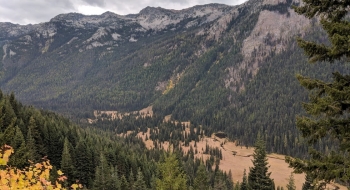 North Minam Meadows seen from the Bowman Trail.