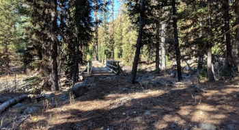 Bridge across the North Fork Imnaha