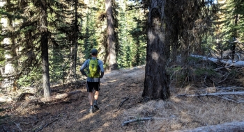 The trail has a good surface most of the way up, especially in the trees. 