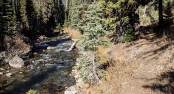 The trail makes several visits along the side of the north fork. 