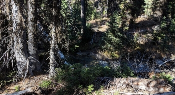 Boner Flat Trail on the other side?