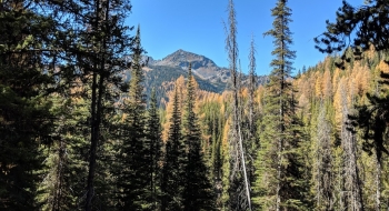 Marble Mountain