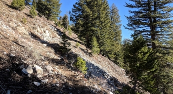 The old wagon route is apparent as the trail climbs up toward the pass. 