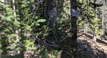 Sign on the tree marking the far end of the trail at the junction with Wagon Road. 