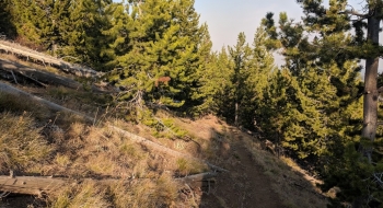Trail is better maintained outside the wilderness. 