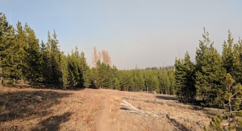 Near the start of the trail. 