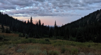 Morning on the upper end of the trail, looking down Squaw Basin.