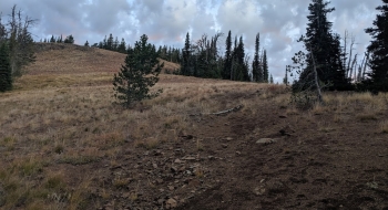 The trail splits at the top of the saddle, into the China Ridge Trail (looking north)