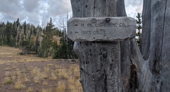 A trail junction sign at the top.