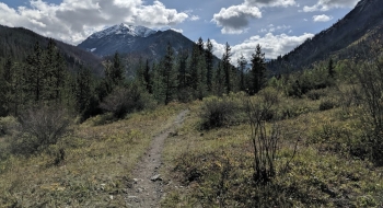 Sacajawea seen from the Hurricane Trail