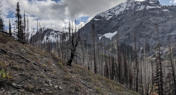 Thorp Creek Trail just before it enters the basin, with Sacajawea seen on the right.