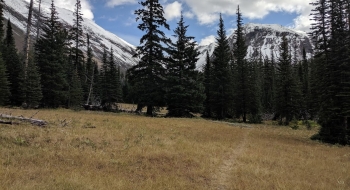 The trail entering the Thorp Creek Basin