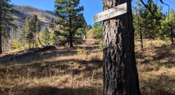 A sign marking the trail near the bottom.