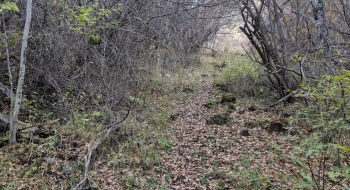 Nearby Thorn Hollow Trail