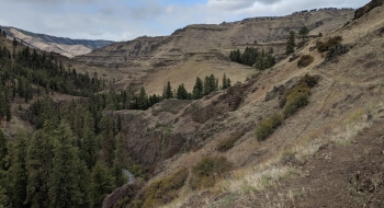 Nice visuals of Haystack Rock (top center) from the Joseph Creek Trail. 
