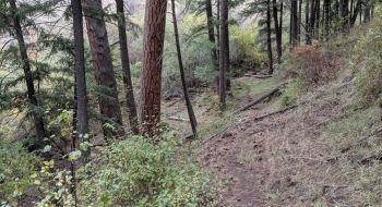 The trail enters some timber in only a couple places.