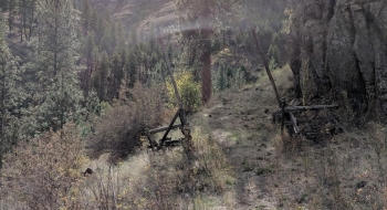 Entering an old corral