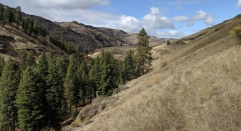 There are a few stretches the trail disappears in the grass.