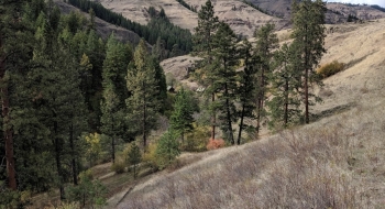 Private cabin at Swamp Creek.