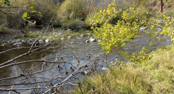 Joseph Creek seen in October near the private cabins at Swamp Creek.