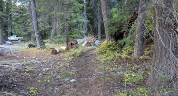 The obscure start to the trail. 