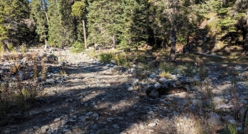 The rocky road you start on. 
