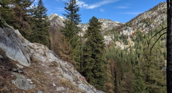 October 2019 looking up the gulch from the trail. 