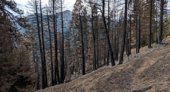 Granite Gulch Fire 2019