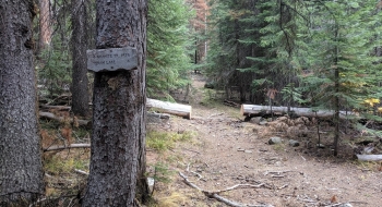 Trail sign after the 2019 fire. 