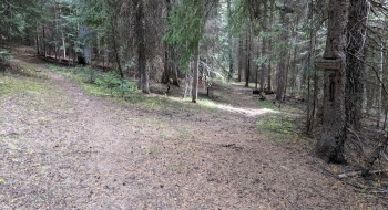 Trail Creek Trail intersection.