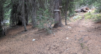 Intersection with Frazier Pass Trail (looking south)