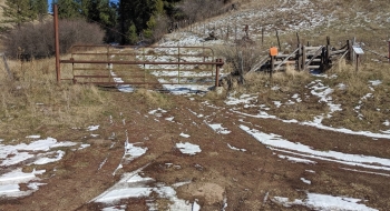 Start of the trail. 