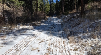 The trail looking wide open