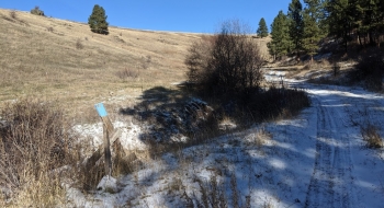 A trail on the other side would be nice. 