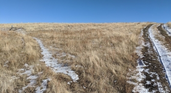 A shortcut of the corner is marked with a fence jack with a blue top, staying consistent with the rest of Zumwalt trails. 
