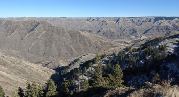 Vista of the canyon.