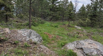 Some rock features in the new connector section, just before opening in 2020.