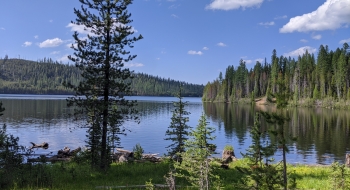 Overview of Olive Lake