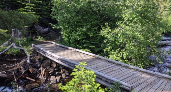 Several bridges cross creeks and streams around the lake