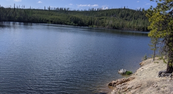 A deep spot in the lake where people swim