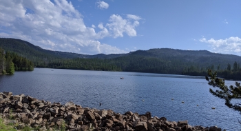 Looking south from the dam
