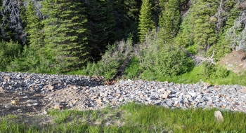 Evidence of an old pipeline from gold mining in the early 1900s