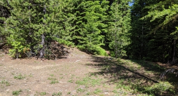 Start of trail from FS-45 Rd