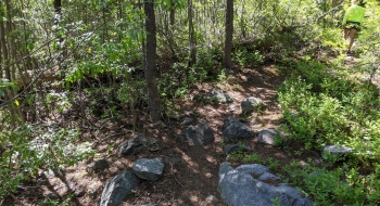 Some rocky patches