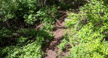 Good trail conditions in some places